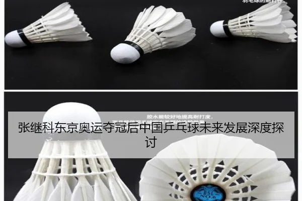 张继科东京奥运夺冠后中国乒乓球未来发展深度探讨
